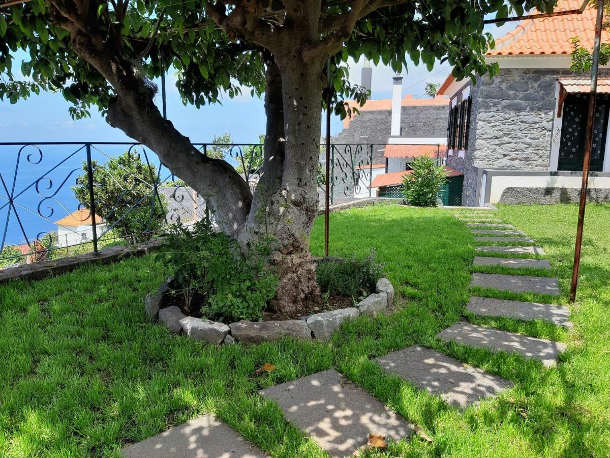 ホテル Casa Velha D Fernando E Casa Avo Augusta リベイラ・ブラーヴァ エクステリア 写真